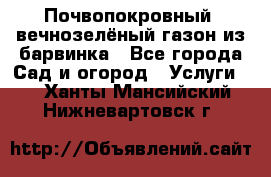 Почвопокровный, вечнозелёный газон из барвинка - Все города Сад и огород » Услуги   . Ханты-Мансийский,Нижневартовск г.